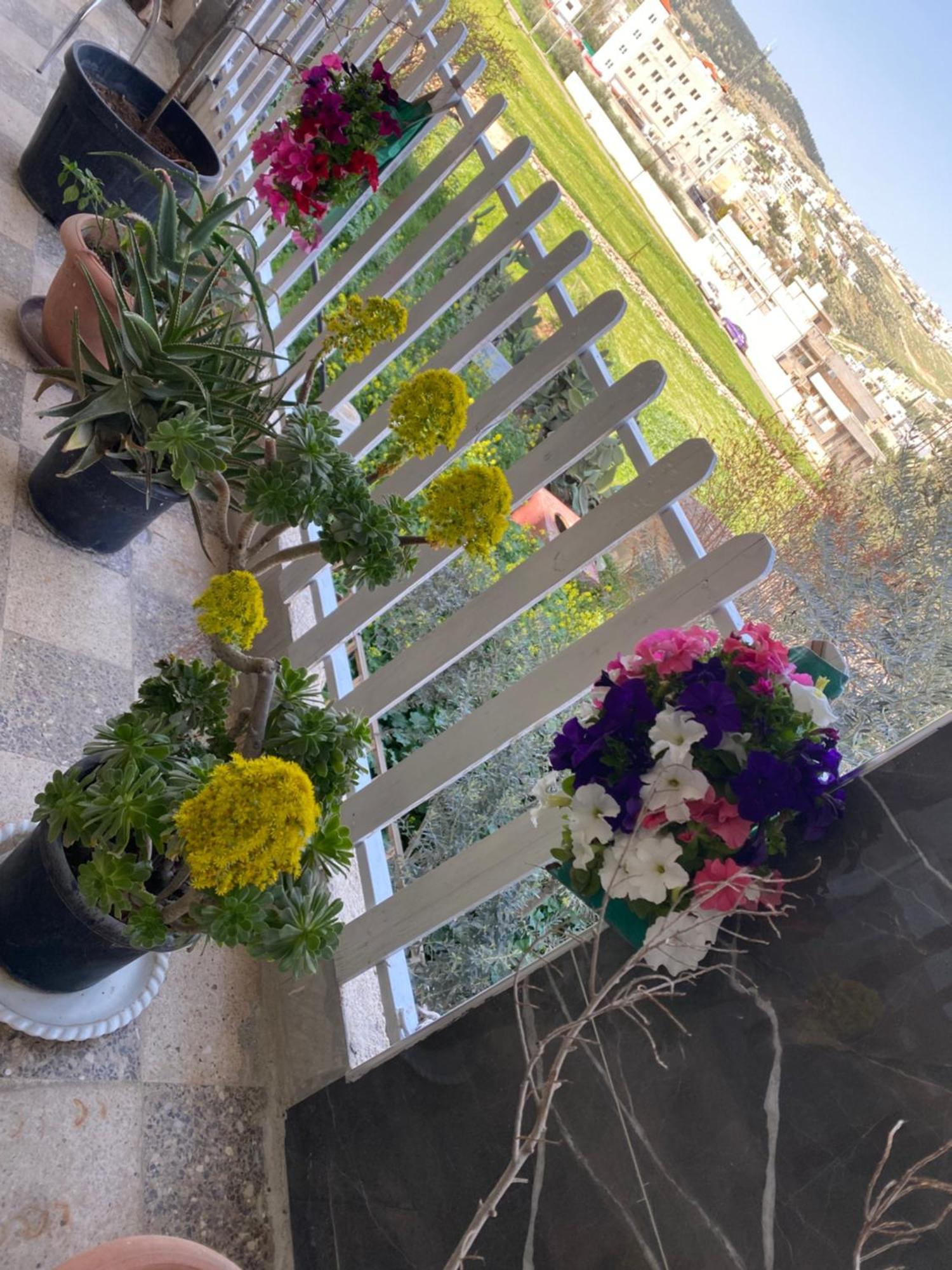 Huseein Rooms Jarash Exterior photo